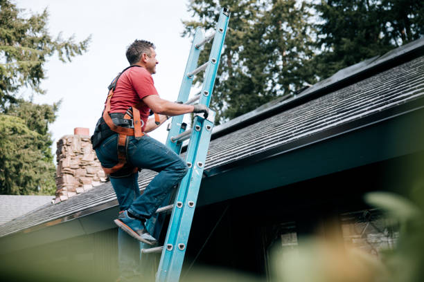 Fast & Reliable Emergency Roof Repairs in Susitna North, AK